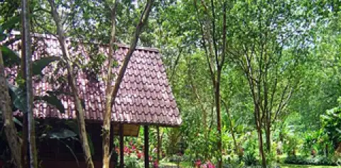 Arenal Oasis Eco Lodge Cabins