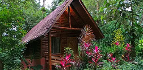 Hotel Arenal Oasis Eco Lodge