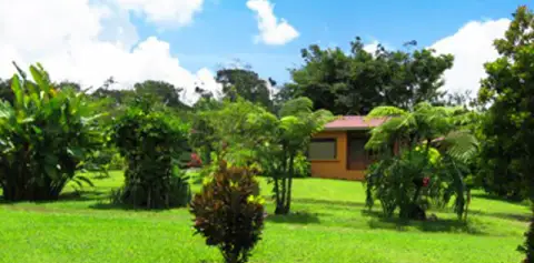 Miradas Arenal Grounds