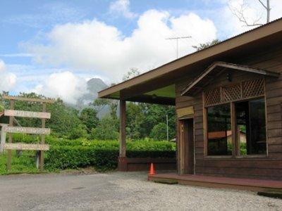 Arenal Green 