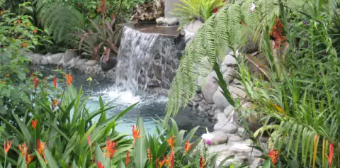 Hot Springs in Arenal