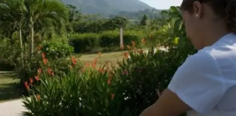 Arenal Springs Resort  Massage