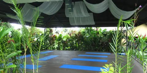 Arenal Springs Resort Yoga