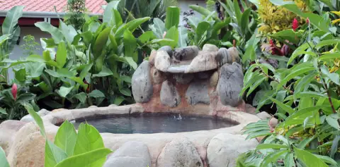 Thermal Pool