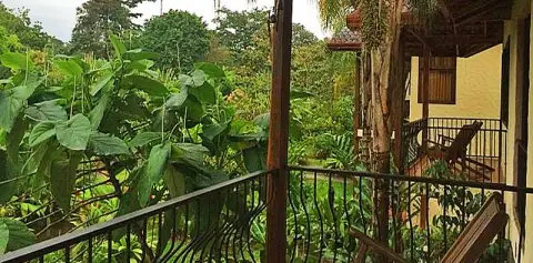 Casa Luna Lodge Balcony