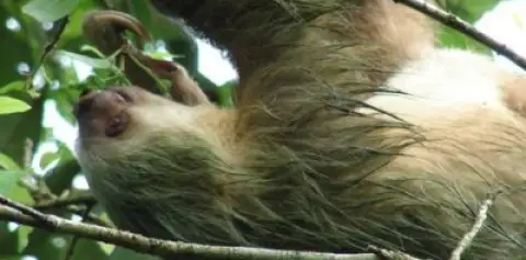 Arenal Natura