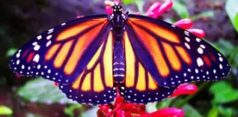 6 x1 Nature Combination Tour Costa Rica