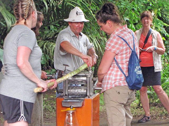 Nature Tours Costa Rica  Trapiche