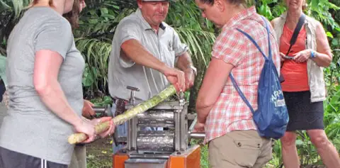 Nature Tours Costa Rica  Trapiche