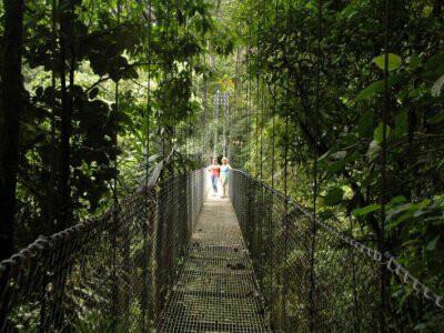 Arenal Hanging Bridges