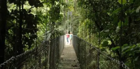 Arenal Hanging Bridges