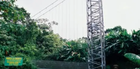 Arenal Tours Hanging Bridges