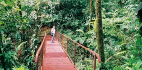 Hanging Bridges