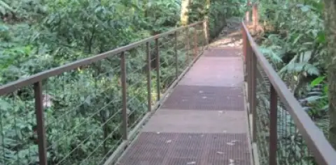 Suspended Bridges Arenal Costa Rica