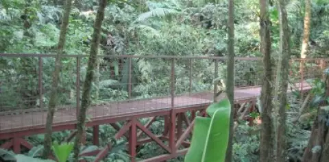 Arenal Hanging Bridge Tour