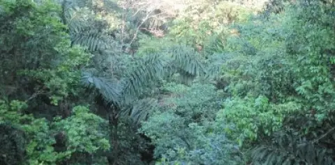 Arenal Costa Rica
