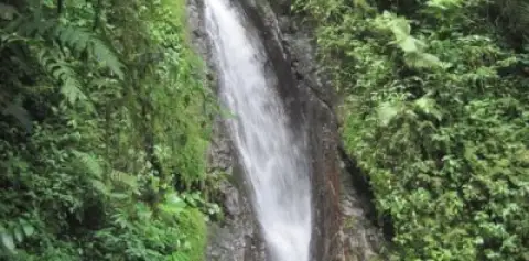 Waterfalls Hanging Bridges Arenal