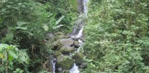Hanging Bridges Waterfall