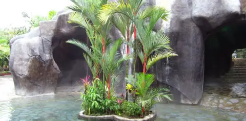 Costa Rica Baldi Hot Springs