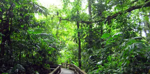 Eco-Termales Arenal Costa Rica