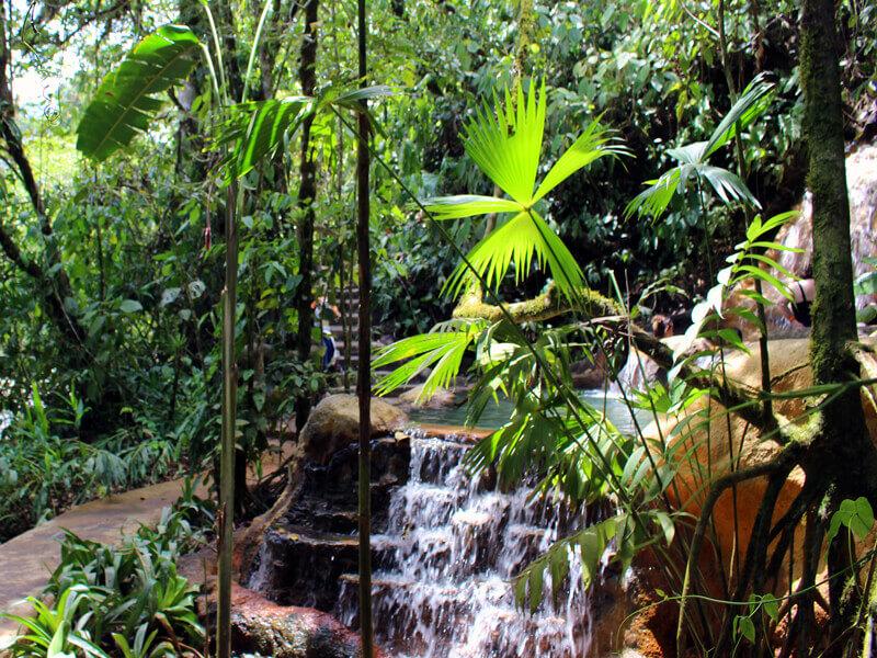Natural Settings The Springs