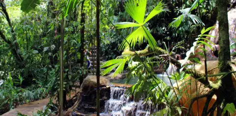 Natural Settings The Springs
