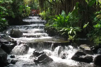 Tabacon Hot Springs Costa Rica