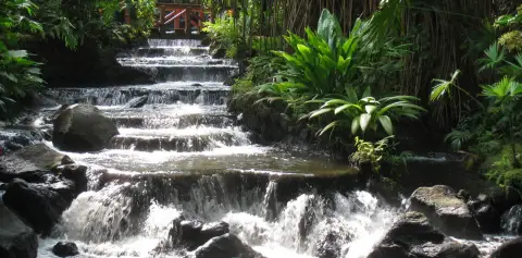 Tabacon Hot Springs