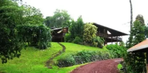 Rainforest Mysteries Tour at Finca Luna Nueva