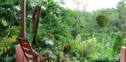 Rainforest Mysteries Tour at Finca Luna Nueva