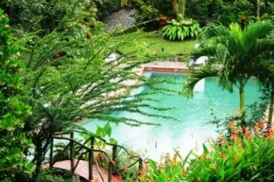 Rainforest Mysteries Tour at Finca Luna Nueva