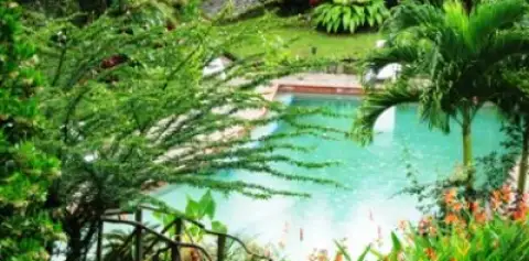 Rainforest Mysteries Tour at Finca Luna Nueva