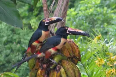 Safari Float - Day Trip from Arenal Costa Rica