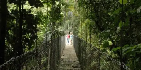 Hanging Bridges Arenal One Day Tour from San Jose