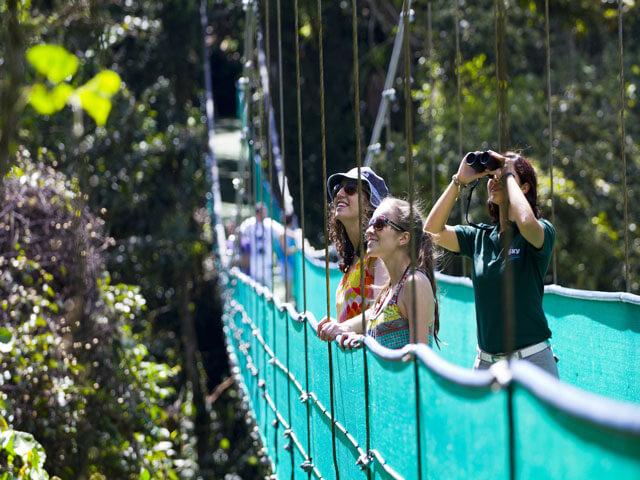 Hanging Bridges Arenal Skywalk