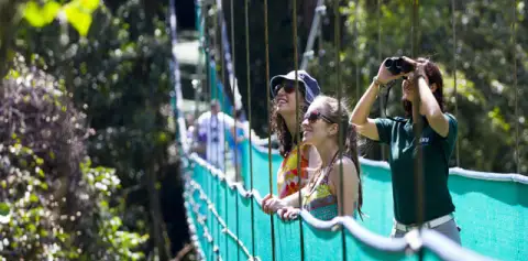 Hanging Bridges Arenal Skywalk