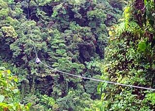 Arenal Canopy Tours