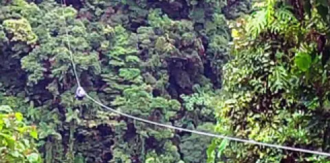Arenal Canopy Tours