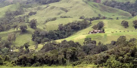 Beautiful Scenery on Taxi-Boat-Taxi Arenal to Monteverde