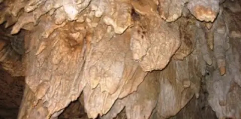 Venado Caves Arenal Costa Rica