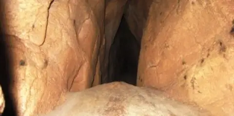 Tours of Venado Caves
