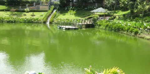 Hotel El Establo Monteverde