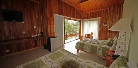 Large Rooms Hotel Ficus