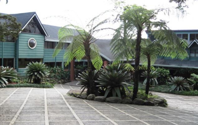 Hotel Monteverde Lodge
