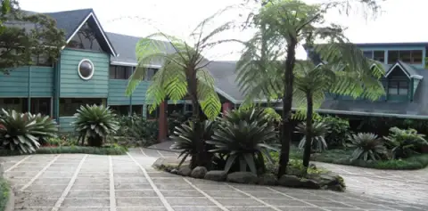 Hotel Monteverde Lodge