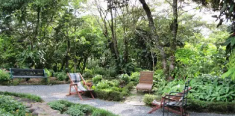 Hotel Monteverde Lodge