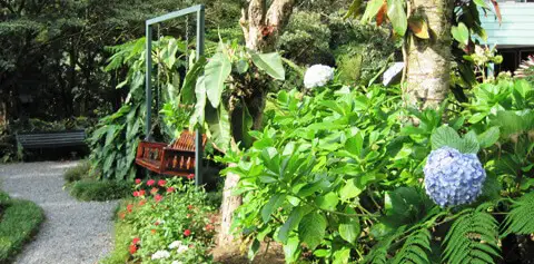 Hotel Monteverde Lodge