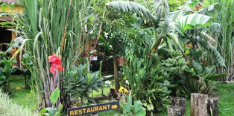 Hotel Los Cipreses Monteverde