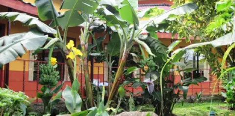 Hotel Los Cipreses Monteverde