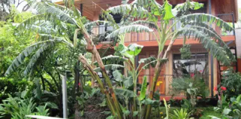 Hotel Los Cipreses Monteverde